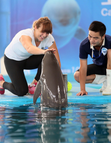 他们能够在 他们能够在