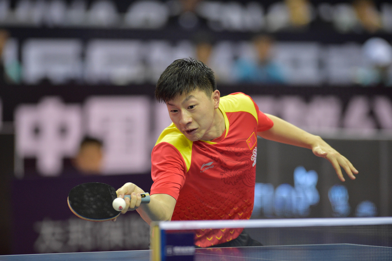 他擅长梳理 他擅长梳理